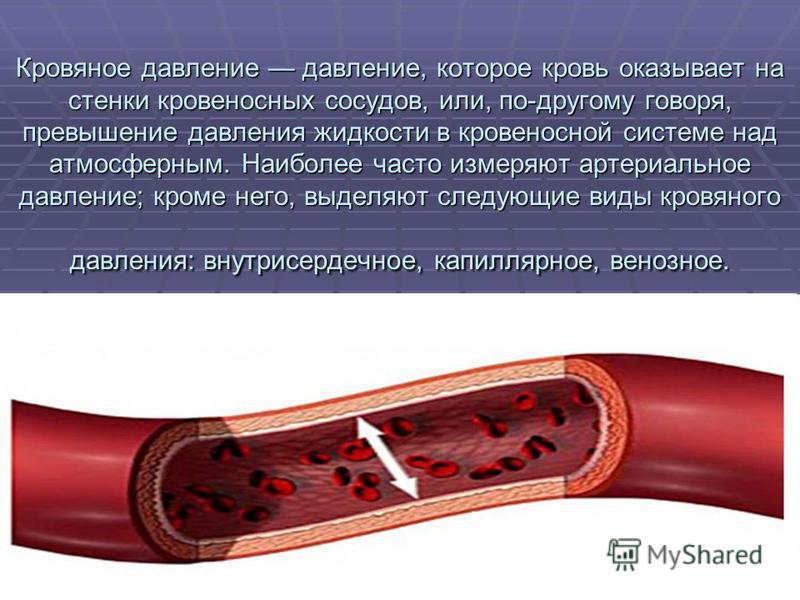 Типы кровеносных сосудов. Кровяное давление.
