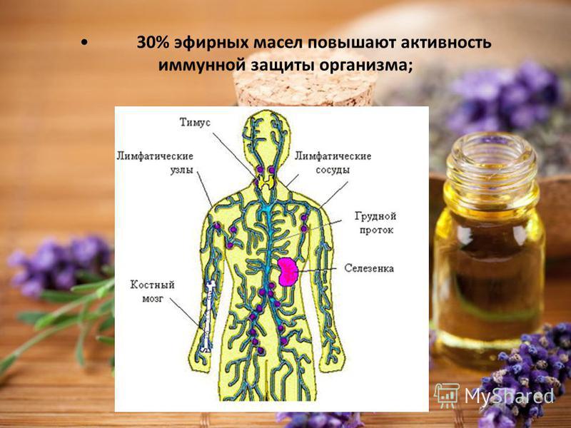 Разогнать лимфу в организме препараты. Как разогнать лимфу по организму. Трава разгоняющая лимфу в организме. Вытяжка из лимфы. Разогнать Деда лимфу.