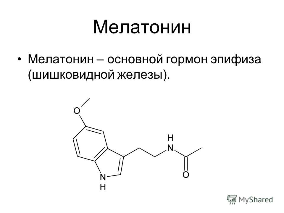 Гормон мелатонин презентация