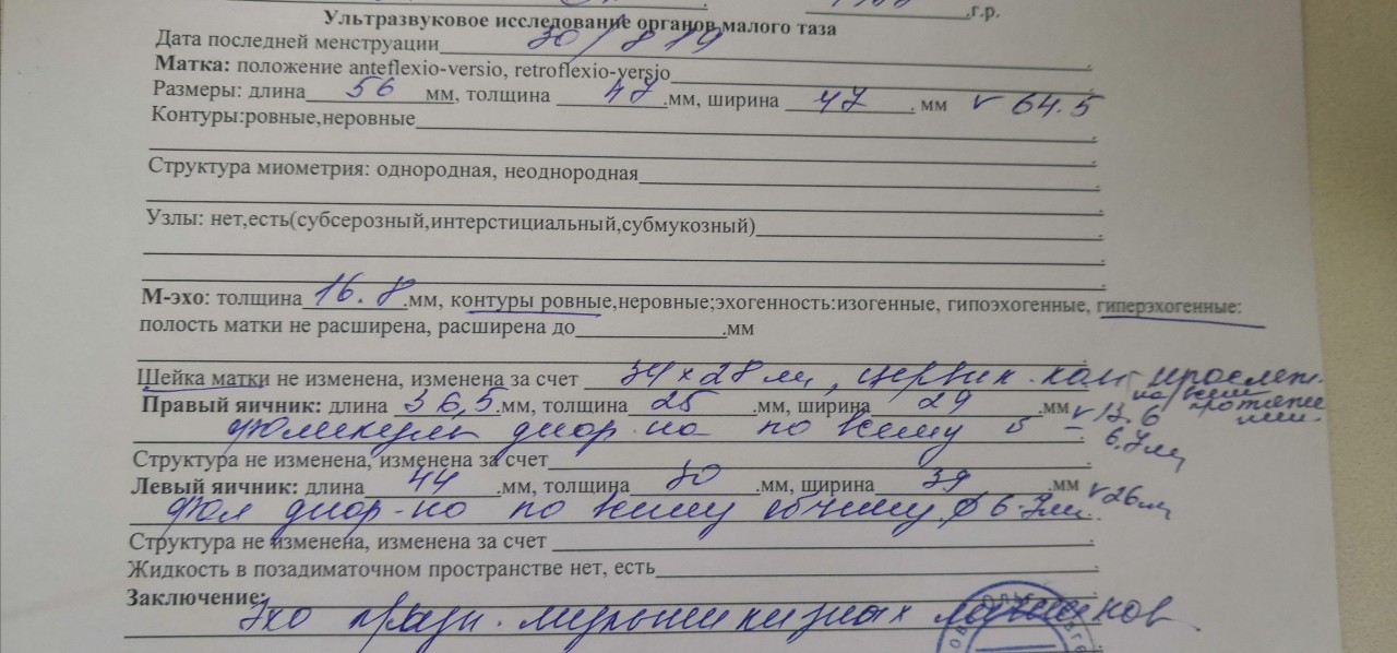 Узи после родов. УЗИ заключение:антенатальная гибель плода. УЗИ С заключением гибели плода. Заключение гибели плода. Протокол УЗИ при внутриутробной гибели плода.