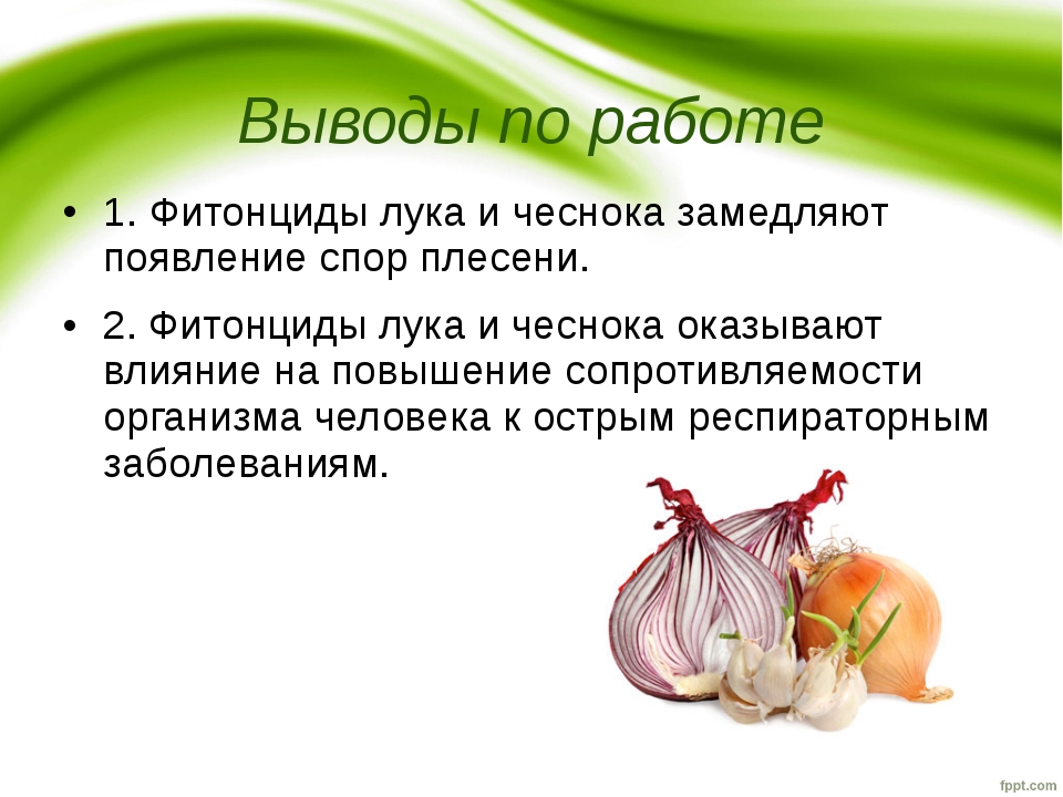 Бактерицидное действие фитонцидов проект по биологии