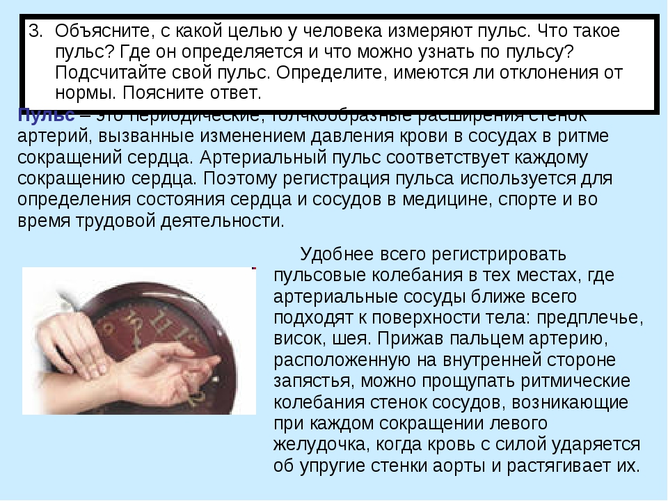 Опыт доказывающий что пульс. Пульс. С какой целью измеряют пульс. Что можно понять по пульсу человека. Для чего измеряют пульс у человека.