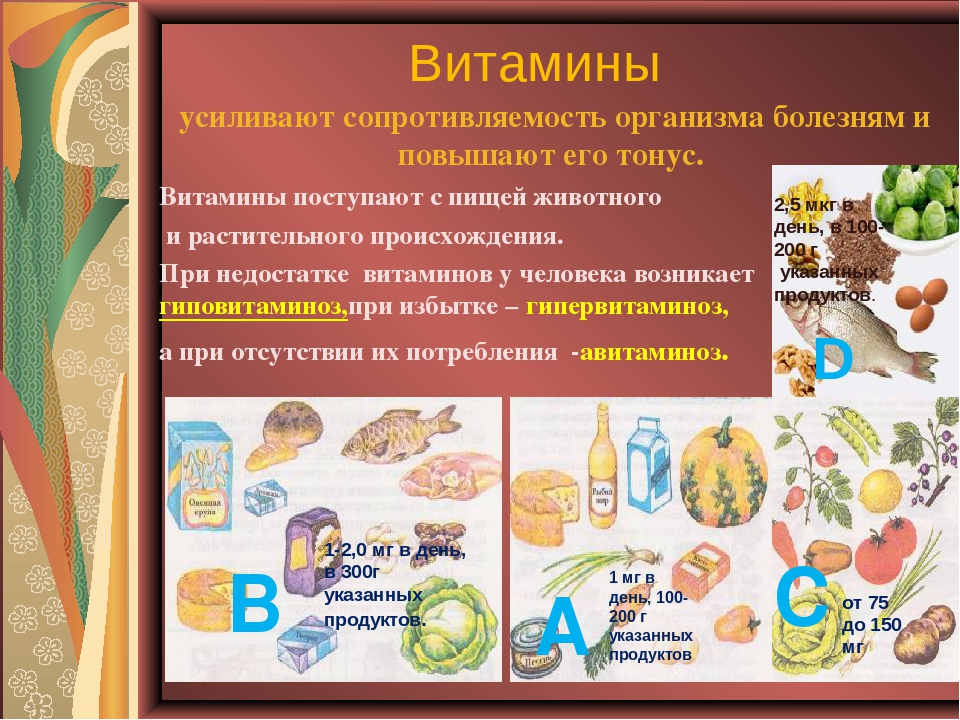 Витамины это жизнь проект по обж