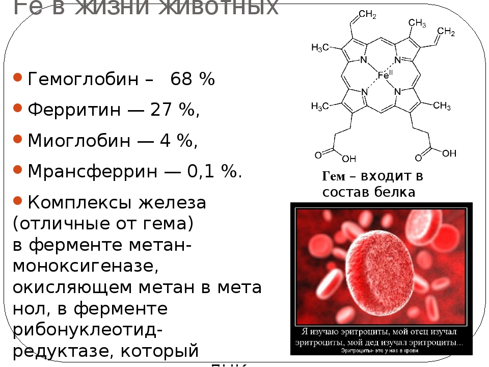 Низкий гемоглобин какой врач. Гемоглобин формула химическая. Химическое строение гемоглобина а1. Структура гемоглобина формула. Формула гемоглобина крови.