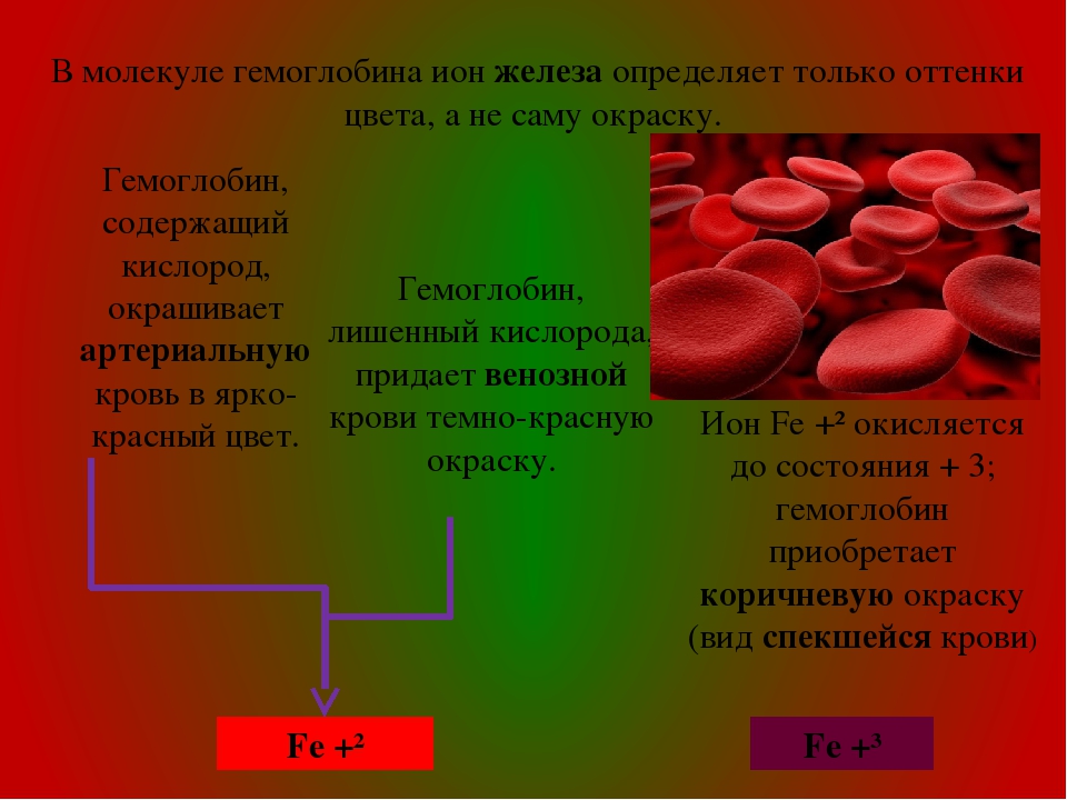 Железо в венозной крови. Красный цвет гемоглобина. Вещество придающее крови красный цвет. Цвет крови и гемоглобин.