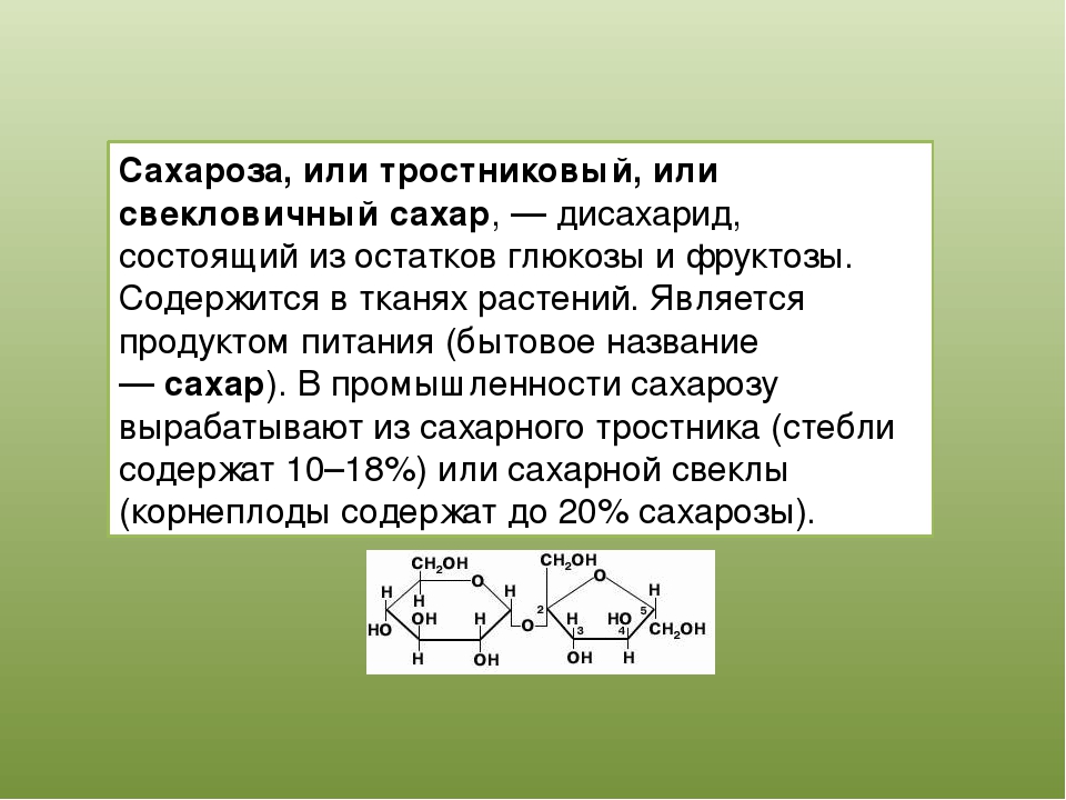 Алхимия сахароза. Сахароза тростниковый сахар. Сахароза (тростниковый, свекловичный сахар). Сахароза состоит из остатков. Свекловичный сахар дисахарид.