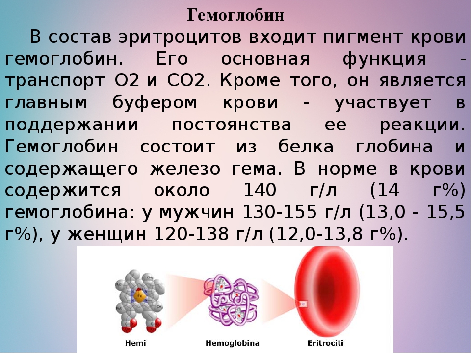 Тест гемоглобина в крови. Гемоглобина в крови содержится:. Состав гемоглобина крови человека. Гем состав. Железо в гемоглобине.