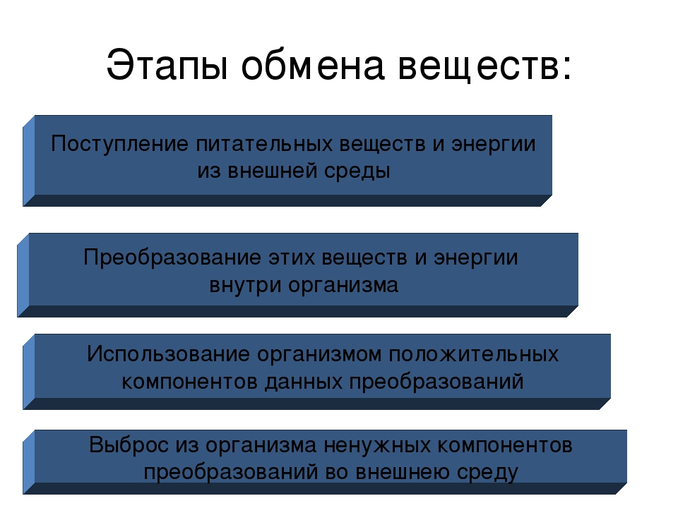 Обмен веществ и энергии физиология презентация