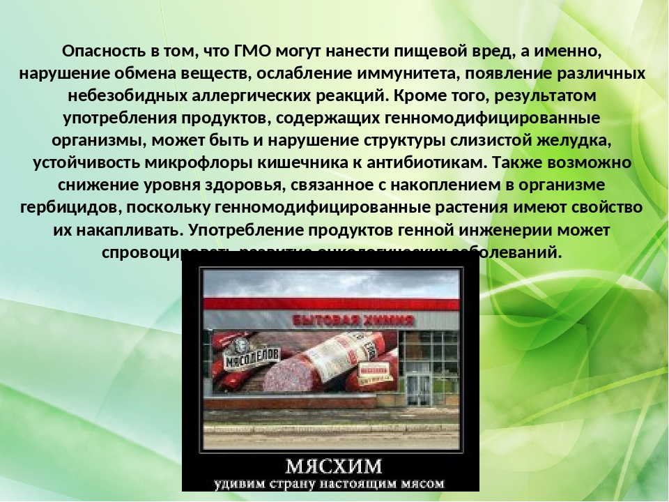 Генетически модифицированные продукты и угрозы связанные с их употреблением презентация