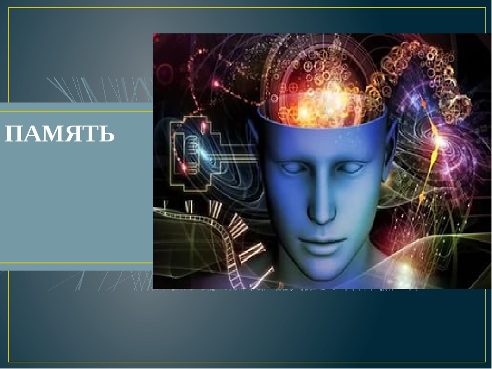 Память человека бывает. Память. Память это в психологии. Память человечества. Общее представление о памяти.