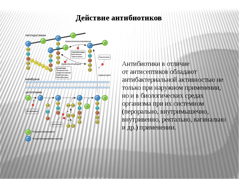 Антибиотик действует через. Действие антибиотиков. Эффективность действия антибиотиков. Принцип работы антибиотиков. Как работают антибиотики.