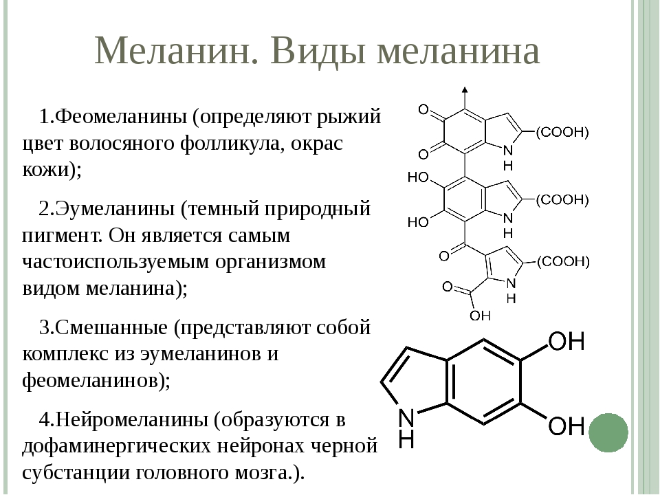 В каком слое кожи синтезируется пигмент меланин. Пигмент меланин формула. Меланин формула химическая. Меланин строение.