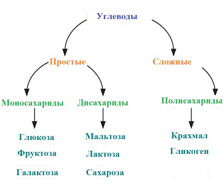 Лаваш это простой или сложный углевод