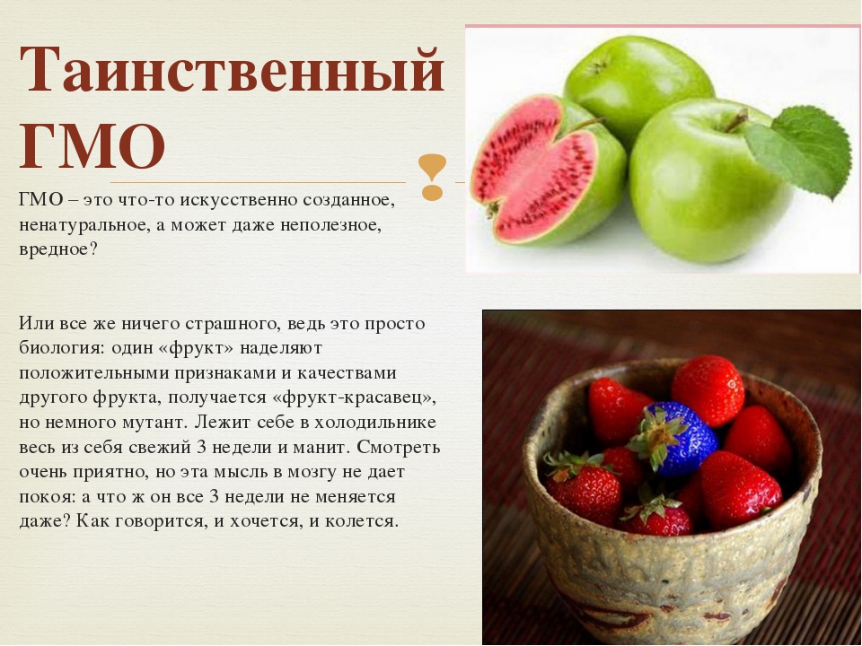 Гмо продукты презентация