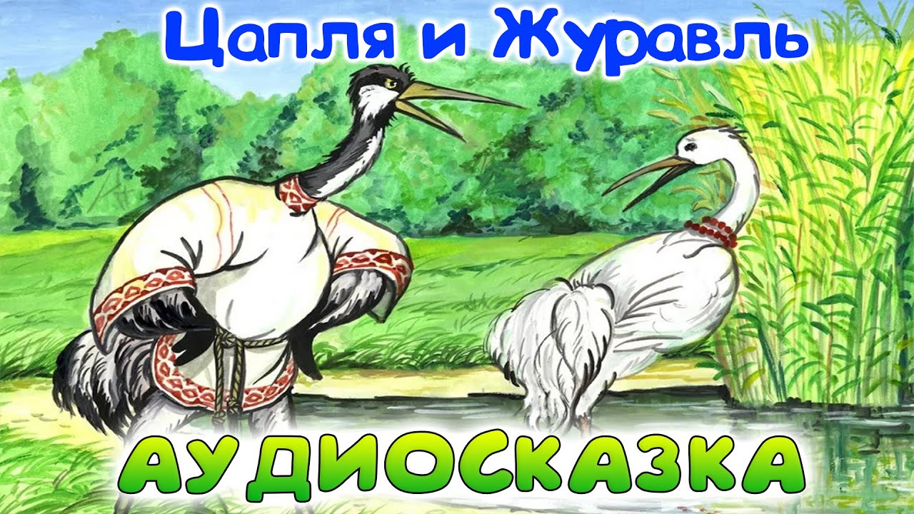 Мальчик и цапля. Аудиосказки для детей цапля и журавль. Цапля и петух. Журавль и медведь. Сказка журавль и цапля аудио прослушивание.