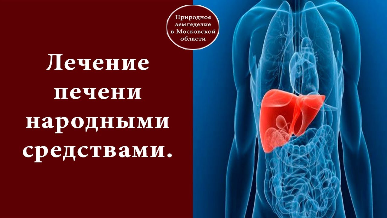 Какой специалист лечит печень