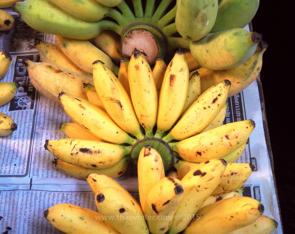 Видео где банан. Тайские бананы. Сорта желтых бананов. Как называются мини бананы. Какие самые большие бананы.