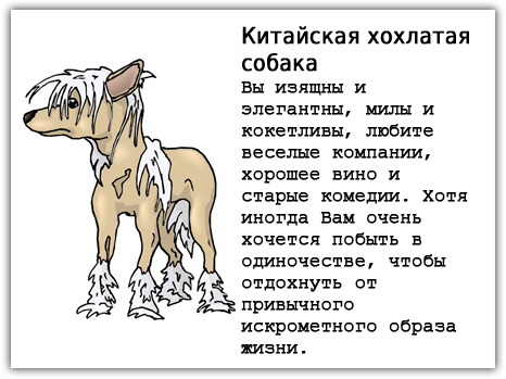 Порода собак по знаку зодиака
