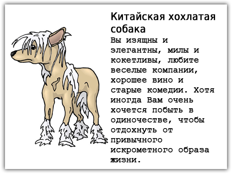 Собаки по знаку зодиака. Знаки зодиака породы собак. Собака по знаку зодиака Дева. Собака для Девы по гороскопу.