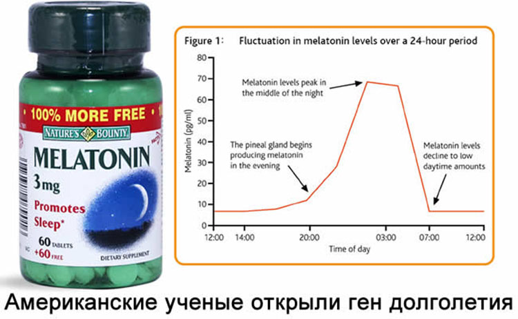 Для чего пьют мелатонин. Мелатонин 5 Htp побочный эффект. Смертельная дозировка мелатонина. Суточная дозировка мелатонина. Смертельная доза мелатонина в таблетках.