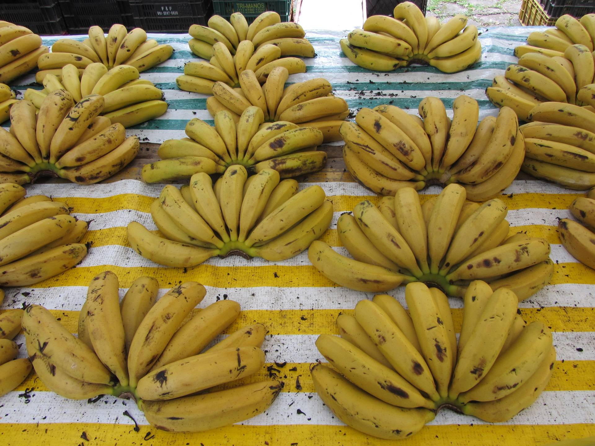 Бананы польза и вред для мужчин. Турецкие бананы. Украшение банан. Бананы в Турции. Бананы красные.