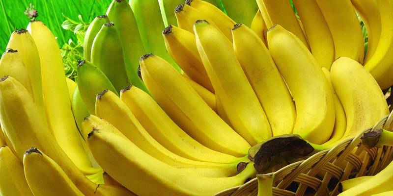 Десертный банан польза. Банан на столе. Банан микроэлементы. Бананы польза. Полезные свойства банана.
