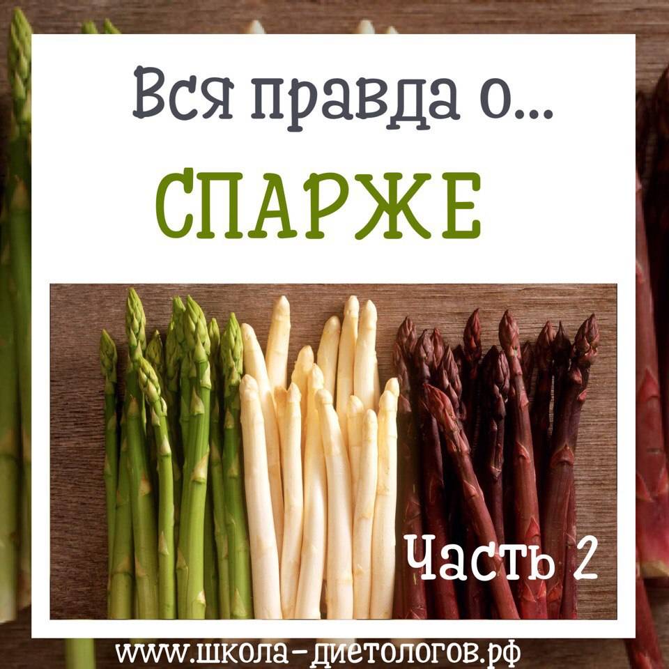 Спаржа польза. Чем полезна спаржа. Спаржа витамины. Чем полезна спаржа для организма.