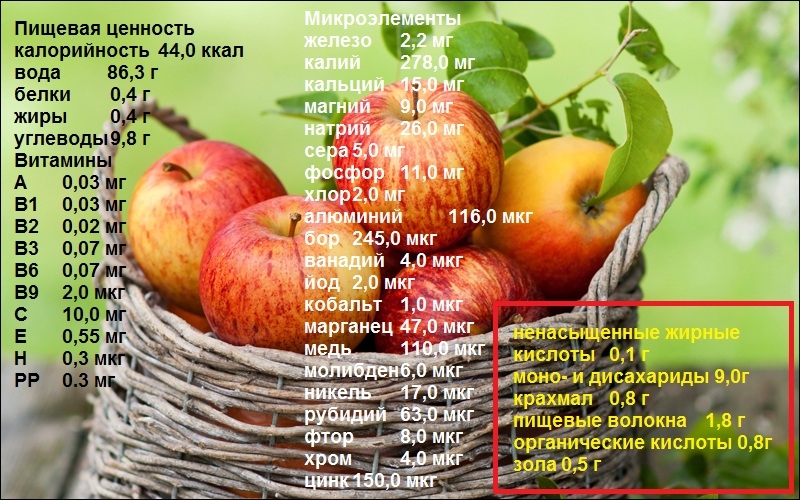 Сколько содержится в яблоке. Состав яблока. Пищевая ценность яблока. Ценность яблока. Витамины в яблоке.