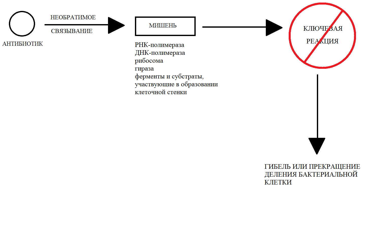 Схема действия антибиотиков