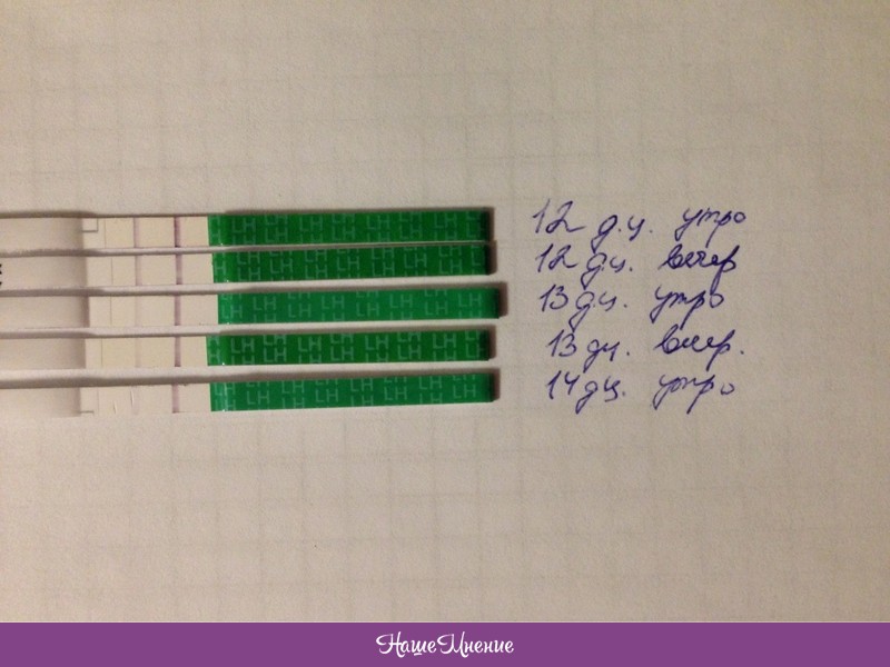 Как расшифровать тест на овуляцию с фото