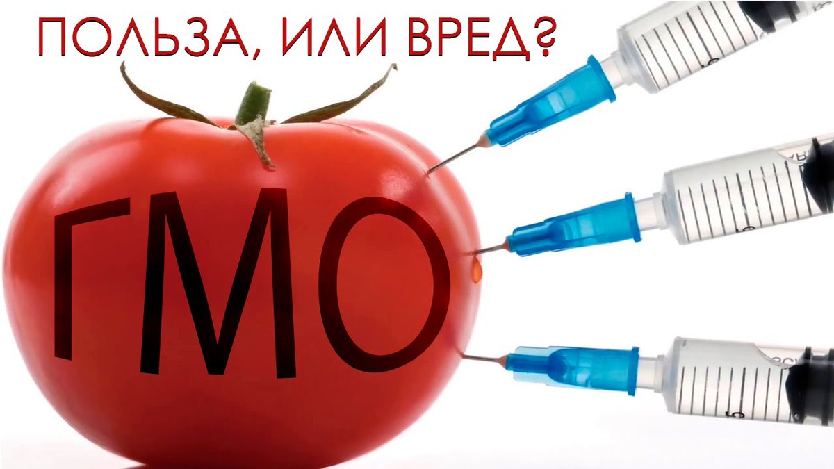 Презентация о вреде гмо