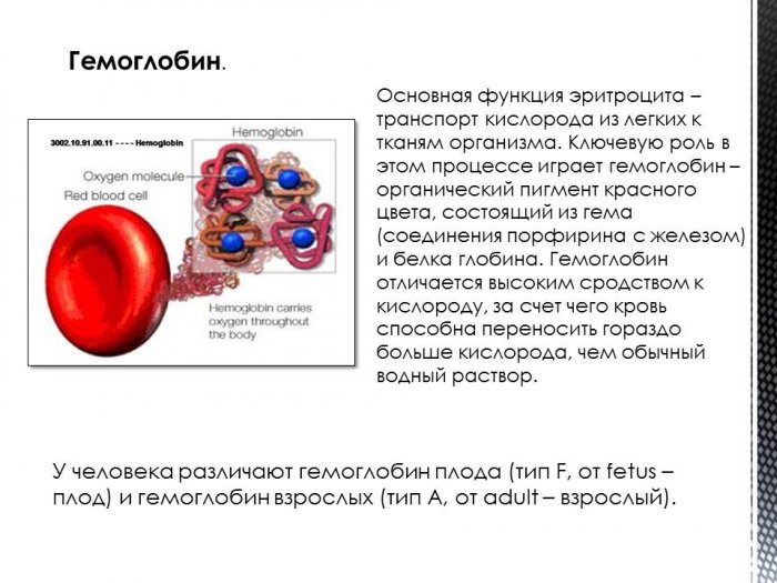 Распределение эритроцитов по объему повышен