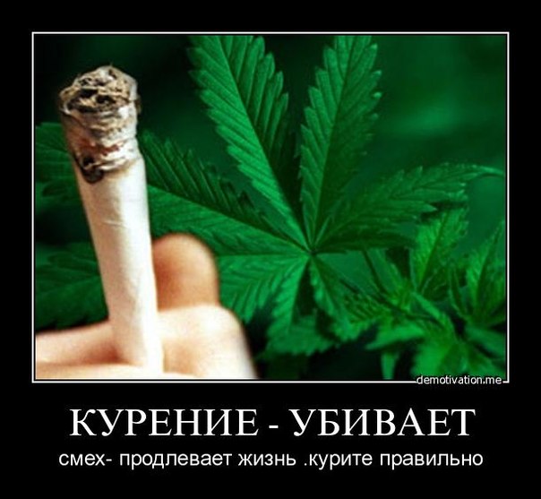 запрет курения марихуаны