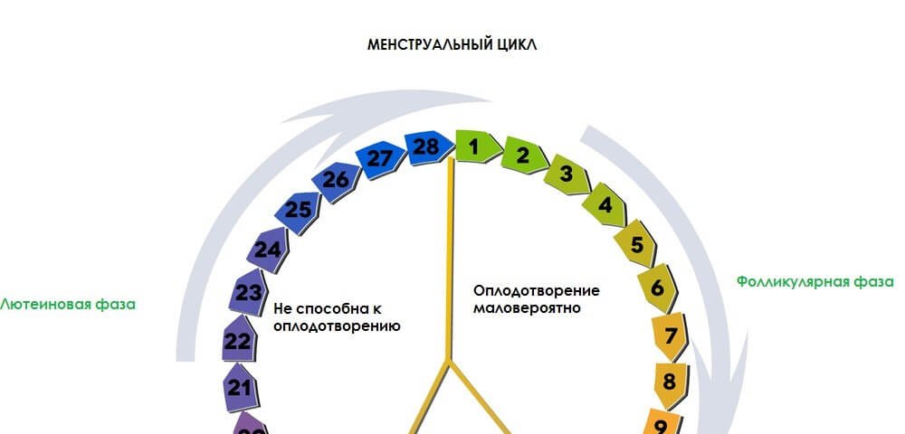 Цикл у женщин. Фазы менструационного цикла. Питание по фазам менструационного цикла. Фазы менструационного цикла названия. 4 Фазы менструационного цикла.