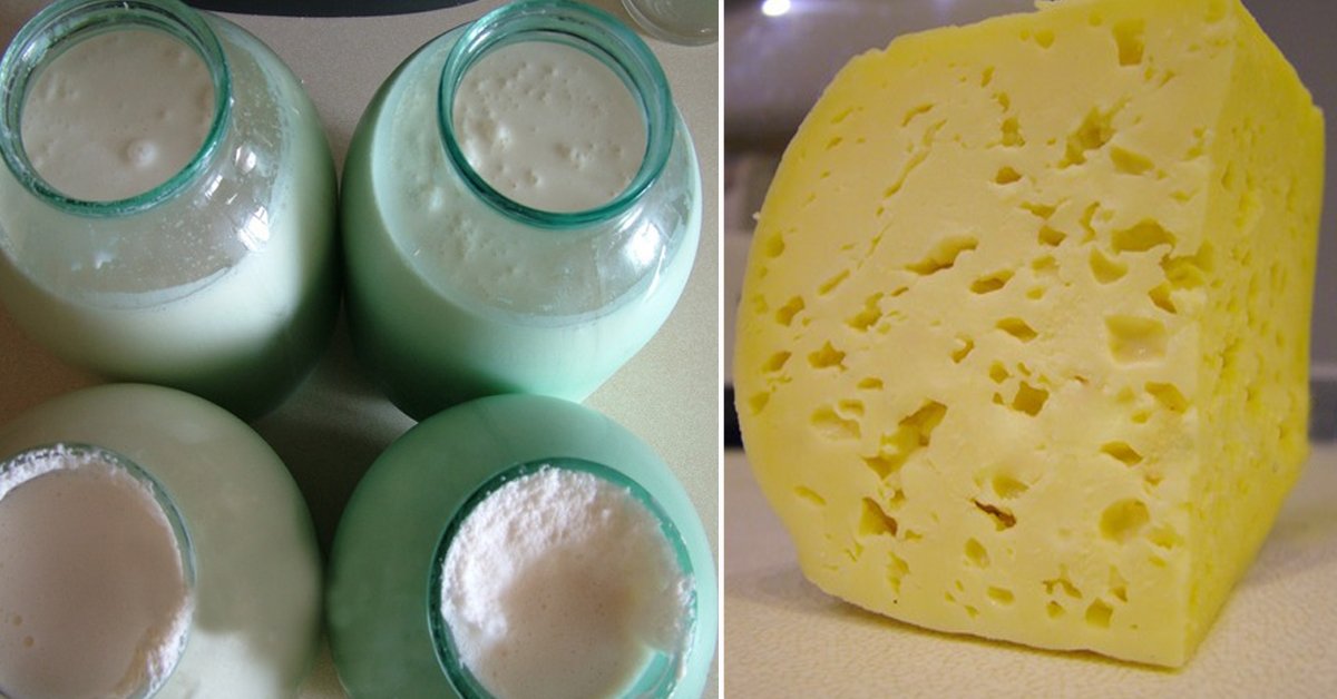 Можно сделать сыр в домашних условиях. Приготовление домашнего сыра. Домашний твердый сыр. Домашний сыр из молока. Домашний сыр из молока и сметаны.