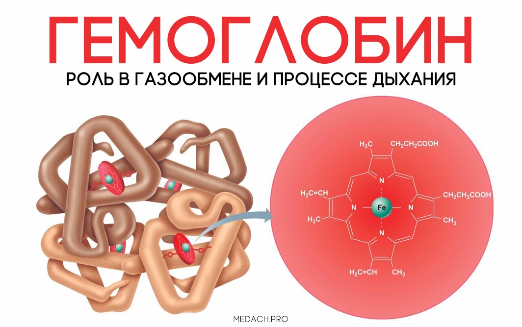 Гемоглобин картинки для презентации