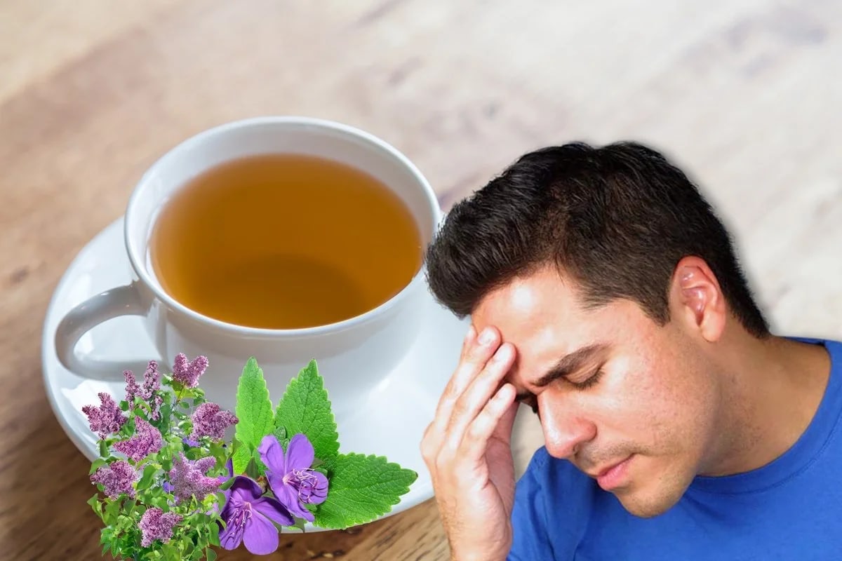 Какая трава помогает от боли. Чай на голову. Фитотерапия человек. Чай от головы. Человек и чай из трав.